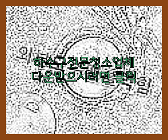 하수구청소