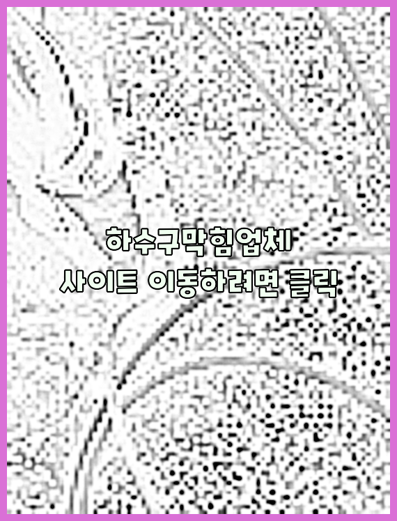 하수구