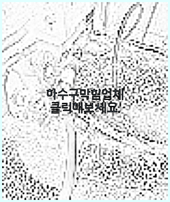 하수구청소