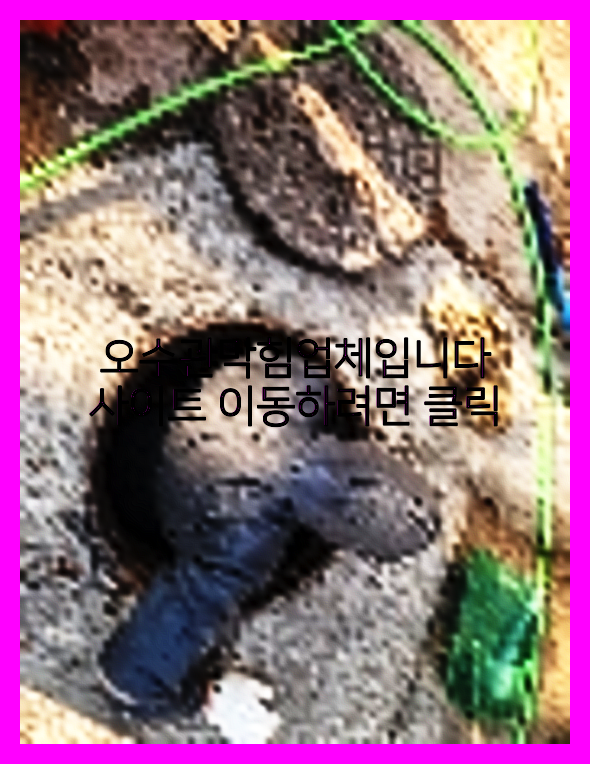 오수관청소