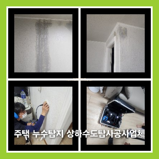 횡주관세척견적